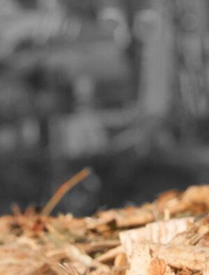 Titelbild Profil_Hackgut Winter Titelbild Profil_Hackgut Winter