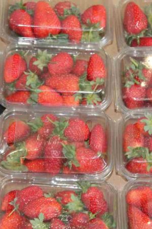 Verpackungen schützen nicht nur Lebensmittel, sondern auch Umwelt und Klima. (Foto: pixabay) Verpackungen schützen nicht nur Lebensmittel, sondern auch Umwelt und Klima. (Foto: pixabay)