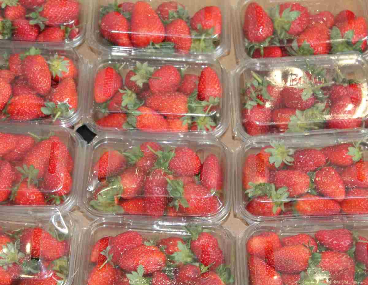 Verpackungen schützen nicht nur Lebensmittel, sondern auch Umwelt und Klima. (Foto: pixabay)