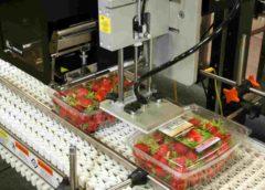 Die Lebensmittelindustrie unterliegt strengen Kennzeichnungsvorschriften. (Foto: Bluhm Systeme)