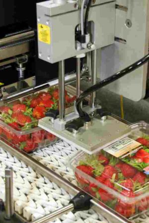 Die Lebensmittelindustrie unterliegt strengen Kennzeichnungsvorschriften. (Foto: Bluhm Systeme) Die Lebensmittelindustrie unterliegt strengen Kennzeichnungsvorschriften. (Foto: Bluhm Systeme)