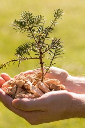 Mit Holz zu heizen ist eine attraktive Möglichkeit. (Foto: Hackgut Winter GmbH) Mit Holz zu heizen ist eine attraktive Möglichkeit. (Foto: Hackgut Winter GmbH)